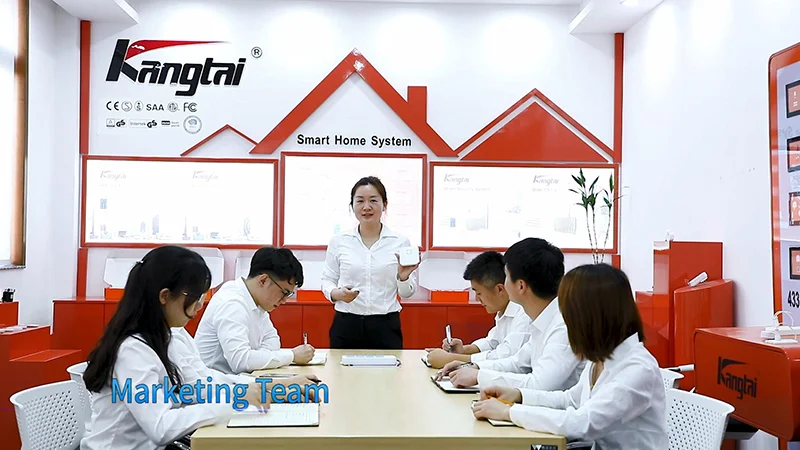Sales Team