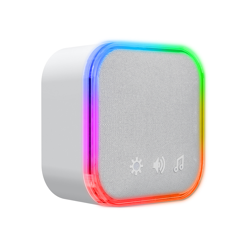 DC / AC Wireless Doorbell-98395