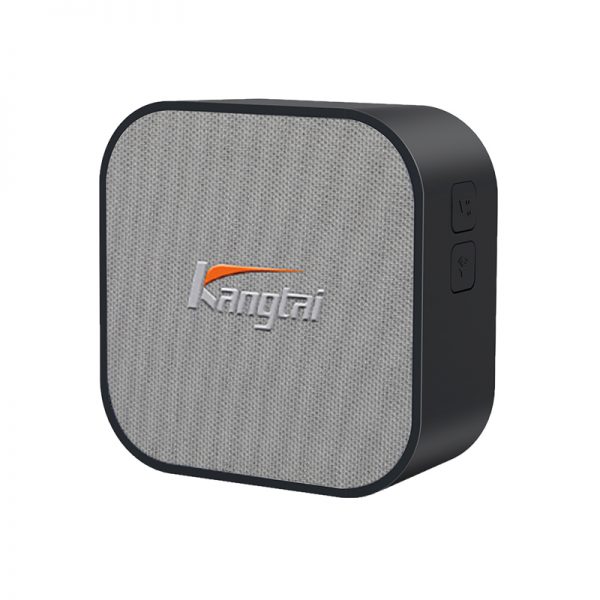 DC  AC Wireless Doorbell-98410