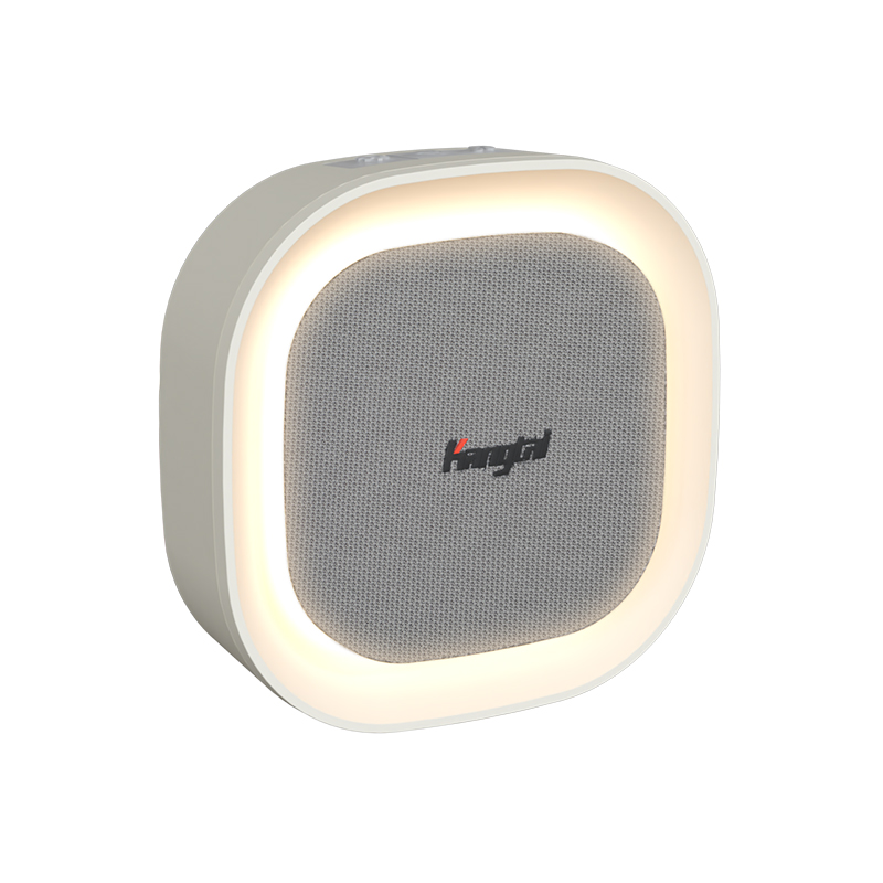 DC AC Wireless Doorbell-98433