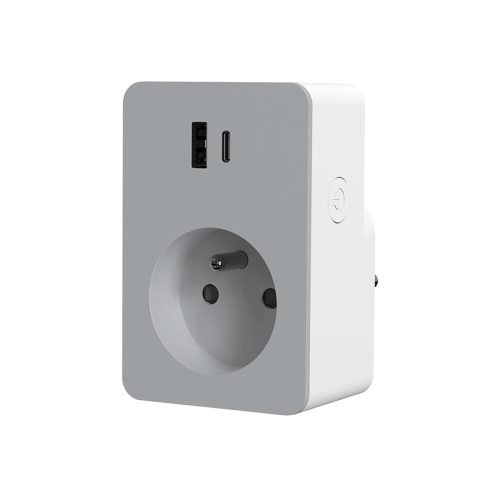 Remote Controlled Socket with USB Charging-51479