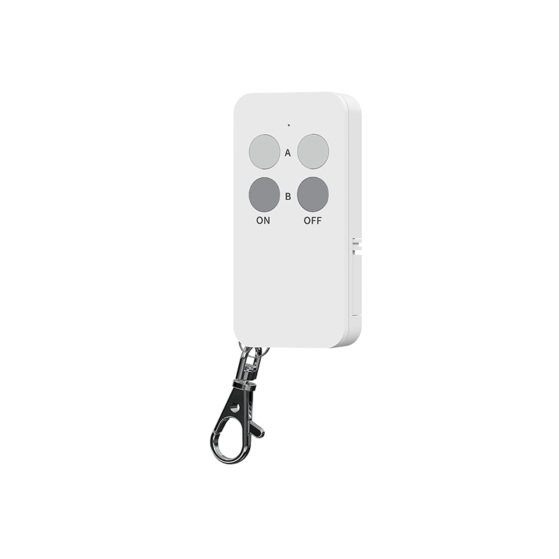 Remote Controlled Socket with USB Charging-51479