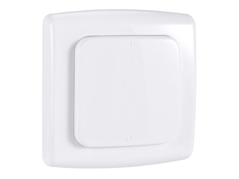 Wall Switch（Sender）NO.50056